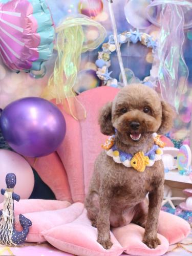 20240828くうくん